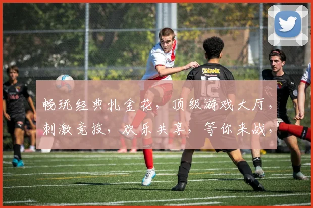 畅玩经典扎金花，顶级游戏大厅，刺激竞技，欢乐共享，等你来战，2个优惠，2倍快乐