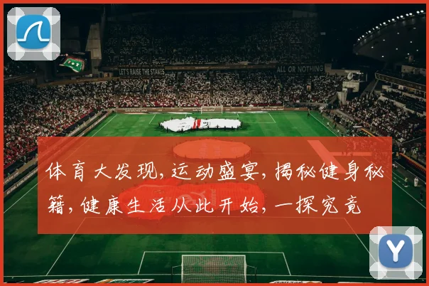 体育大发现,运动盛宴,揭秘健身秘籍,健康生活从此开始,一探究竟